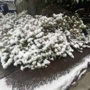 ヒメ日記 2026/02/08 10:46 投稿 鳴海ふうか 華椿