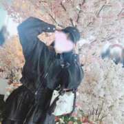 ヒメ日記 2026/04/03 08:31 投稿 うい CUTE