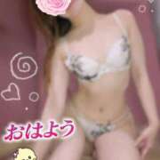 ヒメ日記 2026/01/24 06:01 投稿 新木かすみ 華椿