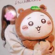 ヒメ日記 2026/01/25 13:31 投稿 新木かすみ 華椿