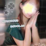 ヒメ日記 2026/02/04 00:31 投稿 新木かすみ 華椿