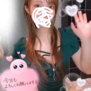 ヒメ日記 2026/02/04 14:31 投稿 新木かすみ 華椿