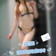 ヒメ日記 2026/02/05 13:01 投稿 新木かすみ 華椿