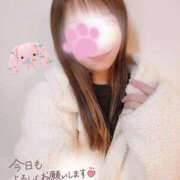 ヒメ日記 2026/03/04 15:46 投稿 新木かすみ 華椿