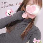 ヒメ日記 2026/03/09 14:01 投稿 新木かすみ 華椿