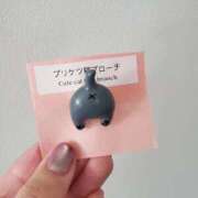 ヒメ日記 2026/03/29 15:46 投稿 新木かすみ 華椿