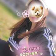 ヒメ日記 2026/04/02 14:31 投稿 新木かすみ 華椿