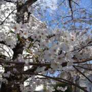ヒメ日記 2026/03/28 08:16 投稿 宇野かりな MADAM