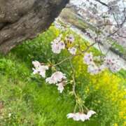 ヒメ日記 2026/03/31 15:46 投稿 宇野かりな MADAM