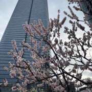 ヒメ日記 2026/04/03 06:31 投稿 宇野かりな MADAM