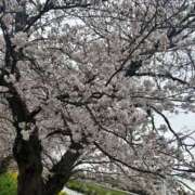 ヒメ日記 2026/04/10 08:46 投稿 宇野かりな MADAM