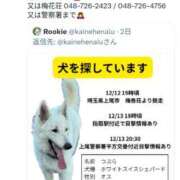 ヒメ日記 2025/12/17 06:16 投稿 仁科ゆりか MADAM