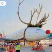 ヒメ日記 2025/12/24 13:16 投稿 仁科ゆりか MADAM