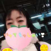 ヒメ日記 2026/01/12 05:31 投稿 仁科ゆりか MADAM