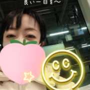 ヒメ日記 2026/01/25 05:31 投稿 仁科ゆりか MADAM