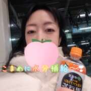 ヒメ日記 2026/01/29 05:31 投稿 仁科ゆりか MADAM