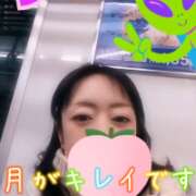 ヒメ日記 2026/02/01 05:31 投稿 仁科ゆりか MADAM