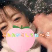 ヒメ日記 2026/02/08 05:01 投稿 仁科ゆりか MADAM