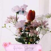 ヒメ日記 2026/02/14 08:31 投稿 仁科ゆりか MADAM