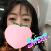 ヒメ日記 2026/02/16 05:31 投稿 仁科ゆりか MADAM