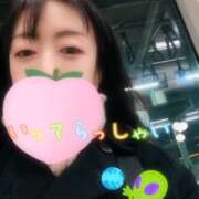 ヒメ日記 2026/02/19 05:31 投稿 仁科ゆりか MADAM