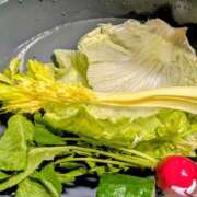 ヒメ日記 2026/02/21 05:16 投稿 仁科ゆりか MADAM