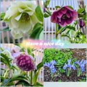 ヒメ日記 2026/03/05 08:16 投稿 仁科ゆりか MADAM