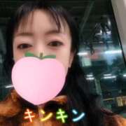 ヒメ日記 2026/03/06 05:31 投稿 仁科ゆりか MADAM