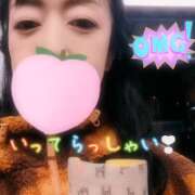 ヒメ日記 2026/03/19 05:16 投稿 仁科ゆりか MADAM