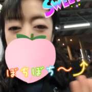 ヒメ日記 2026/03/20 05:31 投稿 仁科ゆりか MADAM