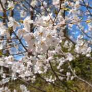 ヒメ日記 2026/03/24 18:46 投稿 仁科ゆりか MADAM