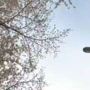 ヒメ日記 2026/03/31 00:31 投稿 仁科ゆりか MADAM