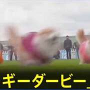 ヒメ日記 2026/04/06 08:31 投稿 仁科ゆりか MADAM