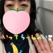ヒメ日記 2026/04/09 05:31 投稿 仁科ゆりか MADAM
