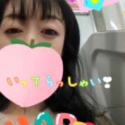 ヒメ日記 2026/04/12 05:46 投稿 仁科ゆりか MADAM
