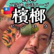 ヒメ日記 2026/04/30 05:46 投稿 仁科ゆりか MADAM