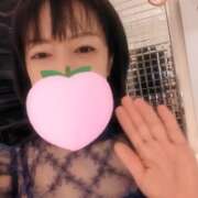 ヒメ日記 2026/06/04 05:31 投稿 仁科ゆりか MADAM