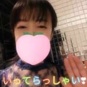 ヒメ日記 2026/06/11 05:46 投稿 仁科ゆりか MADAM