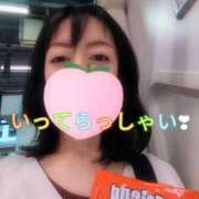 ヒメ日記 2026/06/12 05:31 投稿 仁科ゆりか MADAM