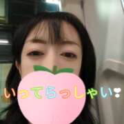 ヒメ日記 2026/06/29 05:31 投稿 仁科ゆりか MADAM