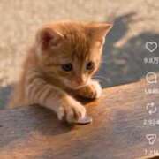 ヒメ日記 2026/09/18 09:31 投稿 仁科ゆりか MADAM