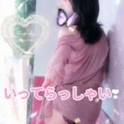 ヒメ日記 2026/10/01 05:31 投稿 仁科ゆりか MADAM