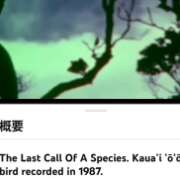 ヒメ日記 2026/10/09 12:16 投稿 仁科ゆりか MADAM