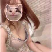 ヒメ日記 2025/12/20 15:31 投稿 七瀬みこ 華椿