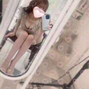 ヒメ日記 2025/12/29 18:31 投稿 七瀬みこ 華椿