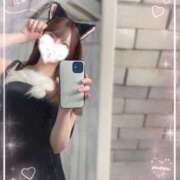 ヒメ日記 2026/02/22 09:31 投稿 七瀬みこ 華椿