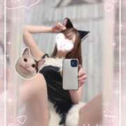 ヒメ日記 2026/02/22 15:31 投稿 七瀬みこ 華椿