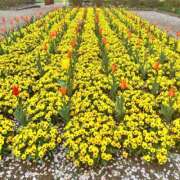 あいか 癒された??? CUTE