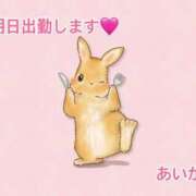 ヒメ日記 2026/05/11 19:31 投稿 あいか CUTE