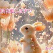 ヒメ日記 2026/05/13 13:31 投稿 あいか CUTE
